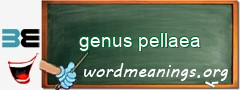 WordMeaning blackboard for genus pellaea